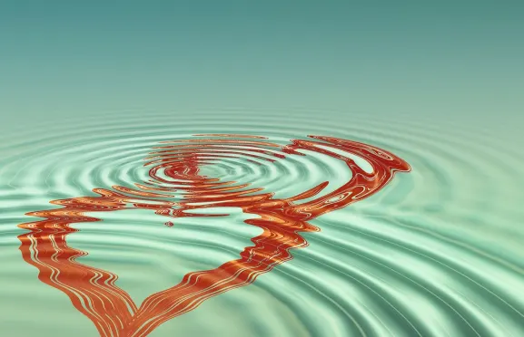 Lottofy Casino Suporte